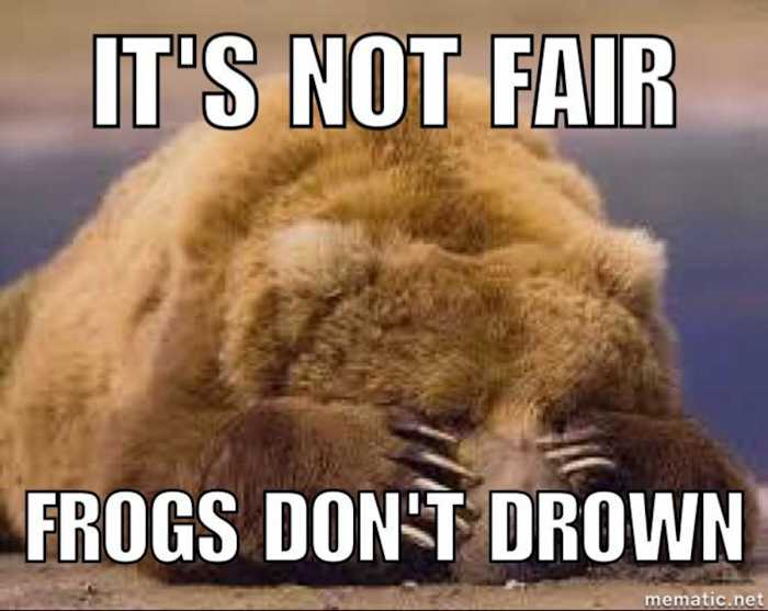 ED5ECDF0-441D-4F51-B4CB-B011347820F6